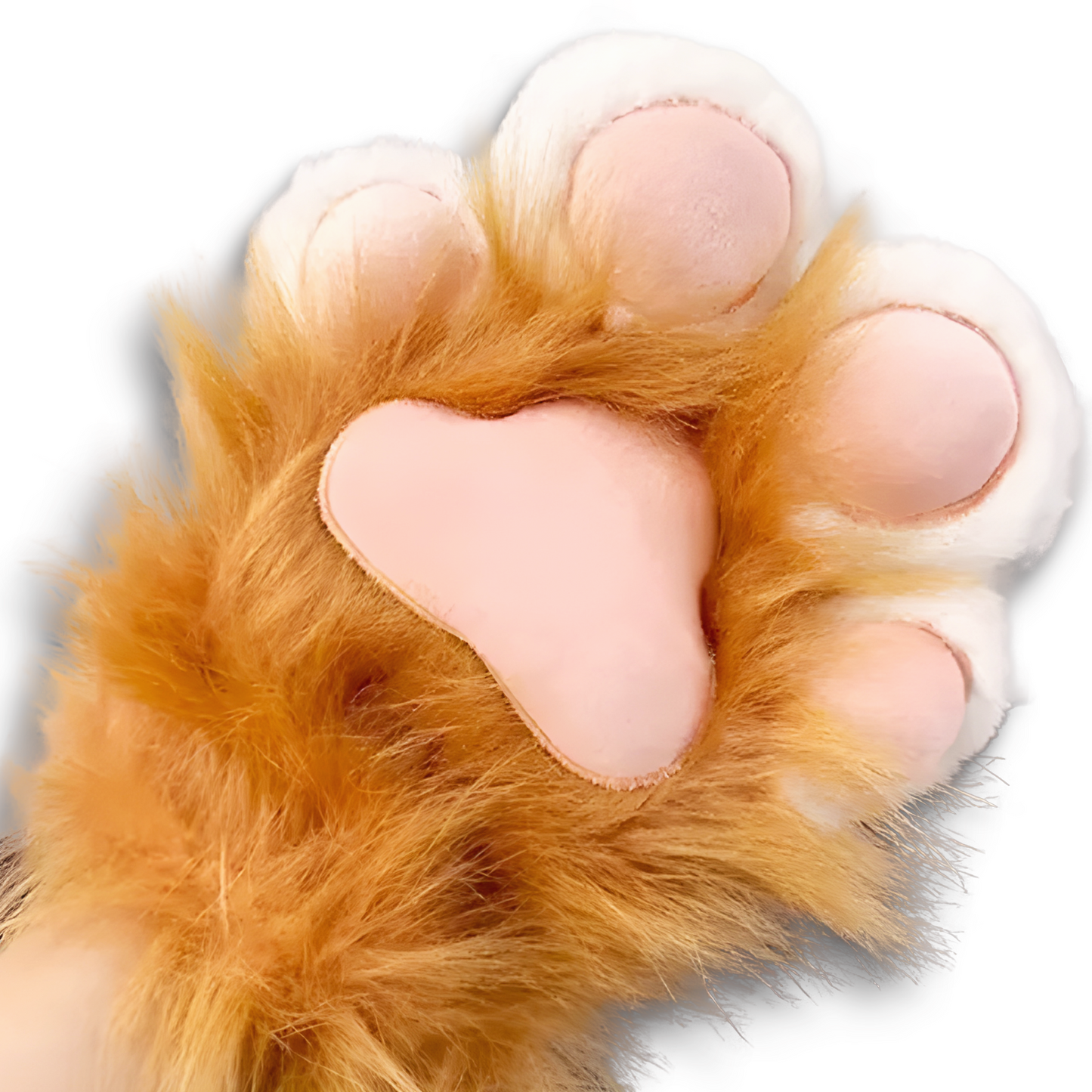 Snug Fleece Cat's Paw - Calmkins